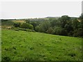 Public footpath south of Alndyke