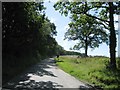 Road south of turning for Birchen