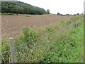 Arable land, Caputh