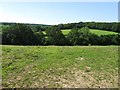 Fields south of Lydbridge