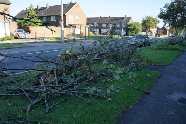 Storm damage on Staveley Road, Hull