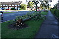 TA1431 : Storm damage on Staveley Road, Hull by Ian S