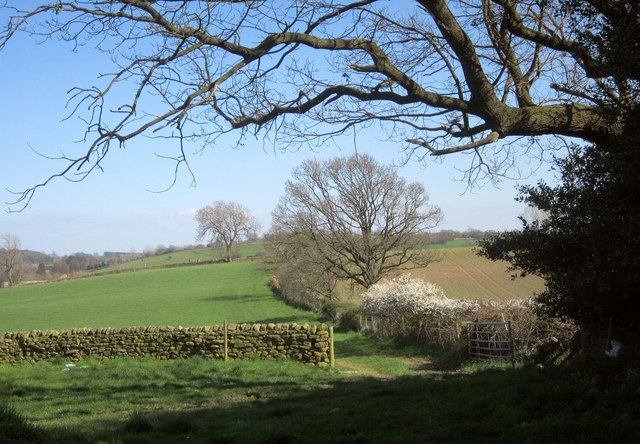 Nidderdale Way © Derek Harper :: Geograph Britain and Ireland