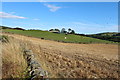 Farmland at Shancastle