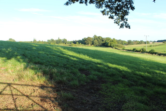 Farmland near Holywood