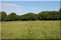 Footpath near Greenlands Farm