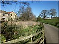 Nidderdale Way at Shaw Mills