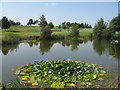 Pond on Vale Royal Abbey Golf Course