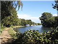 The Thames Path at Shepperton