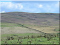 NY8855 : Rough pastures above Westburnhope by Mike Quinn