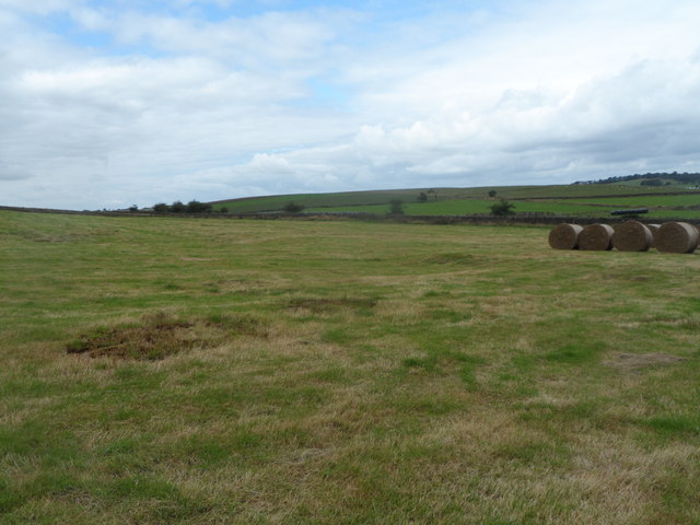 Hadrian's Wall Path crosses fields