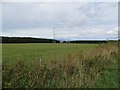 Grass field, Gallowhill