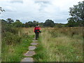 NY5464 : Paved section of Hadrian's Wall Path by Anthony Parkes