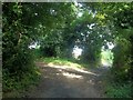 Byway Junction near Damsbrook Farm