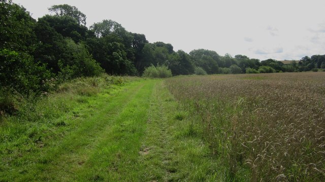 Footpath between river and field