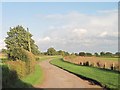 Bridleway from Healaugh Grange