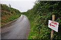 North Devon : Country Lane