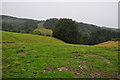 North Devon : Grassy Field