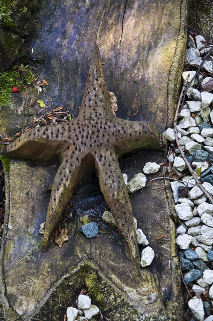 Starfish Carving, Highnam Court Gardens