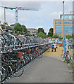 Cambridge Station: new cycle racks