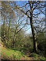 Nidderdale Way below High Kettle Spring