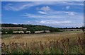 Fields towards Glapwell