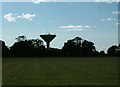 TM4195 : Raveningham Water Tower by John Goldsmith