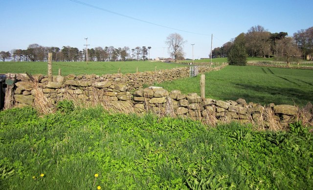 Farmland on Scarah Moor