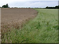 Traditional field boundary, Laxton