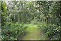 Jodrell Bank Granada Arboretum