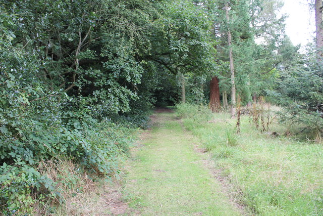 Jodrell Bank Granada Arboretum