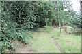 Jodrell Bank Granada Arboretum