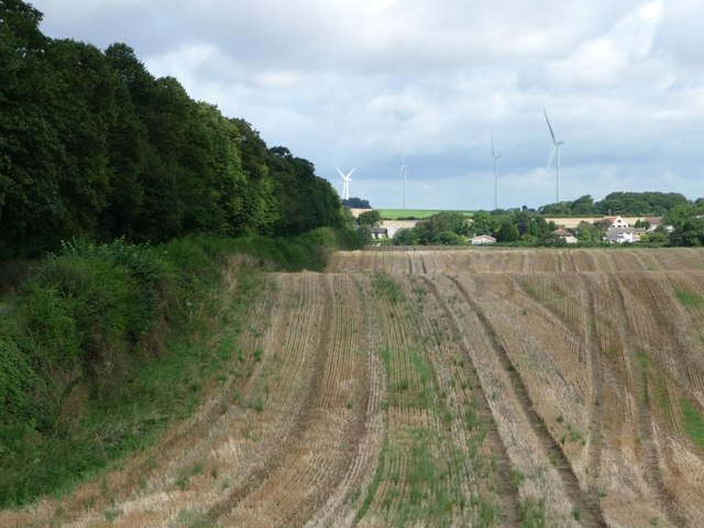 Farmland east of Freestone Quarry Plantation