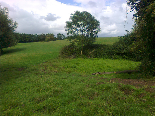 Boggy patch in field, Hanley Castle