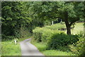 Minor road at Hergest Bridge, Kington