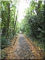 The pavement by Totteridge Common