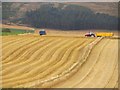 Harvest, Kinnochtry