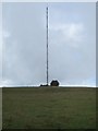ST5648 : The Mendip television and radio transmitter mast by Dr Duncan Pepper