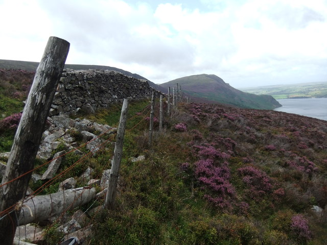 Wall and fence on Mart Knott