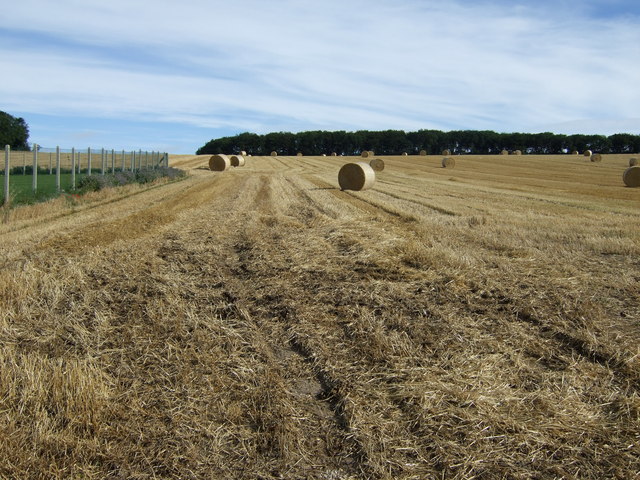 Harvested crop field north of the B1253