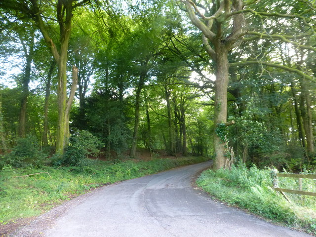 Entering Fedw Wood, near St Arvans