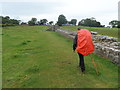 NY8871 : Hadrian's Wall Path at Black Carts by Anthony Parkes