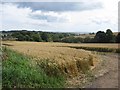 Arable field west of Hipsburn