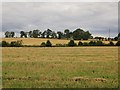 Arable land near Blairgowrie