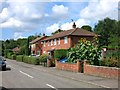 Sunflowers in Choseley Road