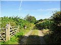 A Permissive Footpath Leading From Chilpark to The Tarka Trail