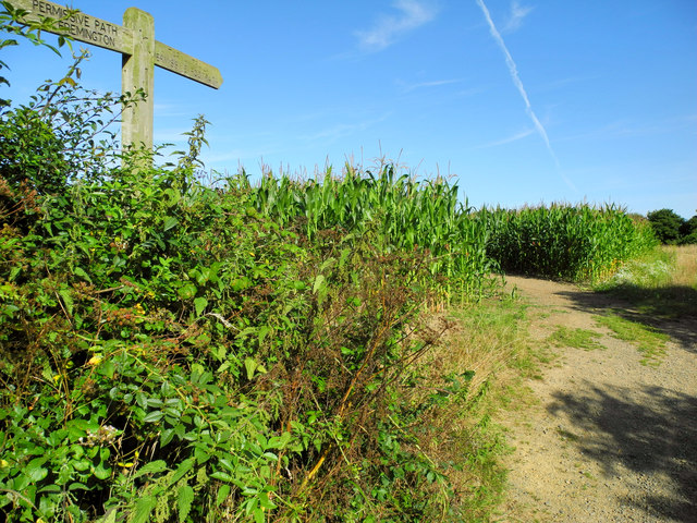 A permissive footpath between Chillpark and the Tarka Trail