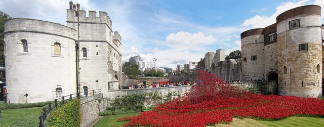 Tower of London Poppies, Blood Swept Lands and Seas of Red