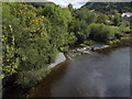 Tributaries into the Afon Lledr