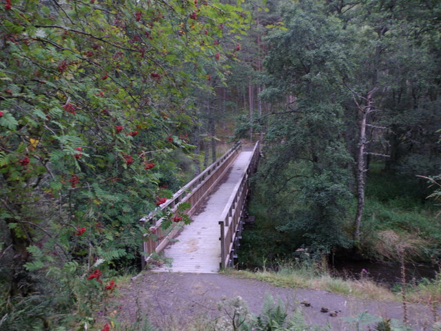 A fruiting rowan guards access to the Dess Burn bridge